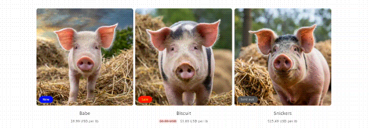 gif showing product card *actual footage of Pre-order theme's exclusive product card video on hover feature in action*
