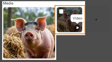 video as secondary media screenshot
